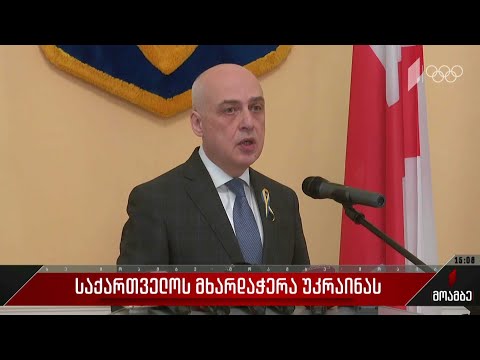 საქართველოს მხარდაჭერა უკრაინას